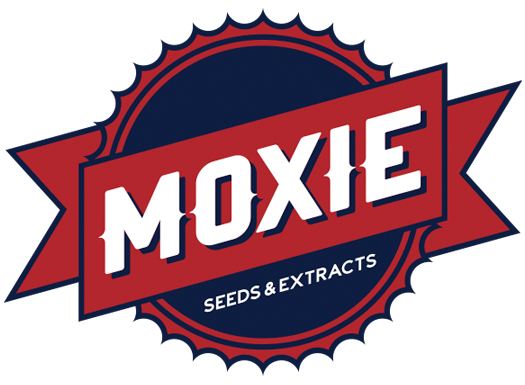 Moxie-Seeds.jpg