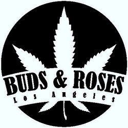 Buds-and-Roses.jpg