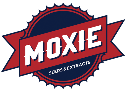 moxie.png